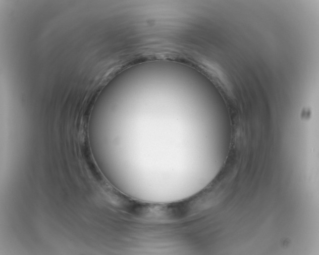 X0000091860121200709051216