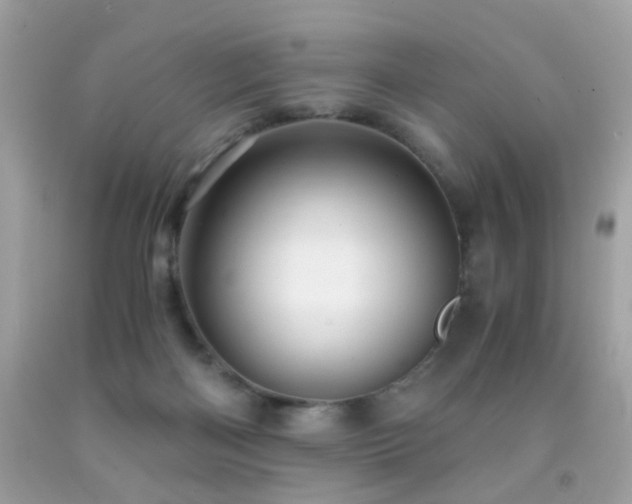 X0000091860122200709051216