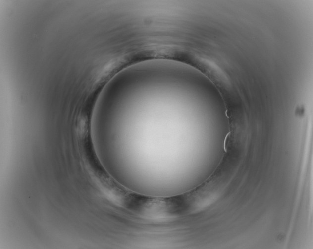 X0000091860123200709051216