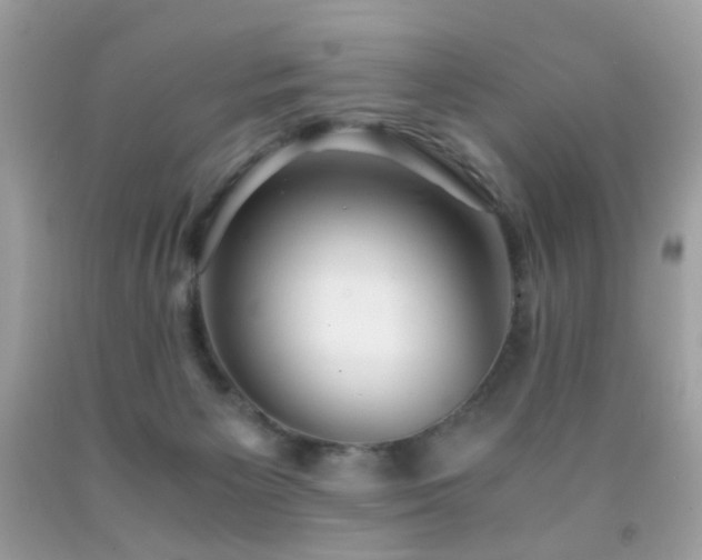 X0000091860125200709051216