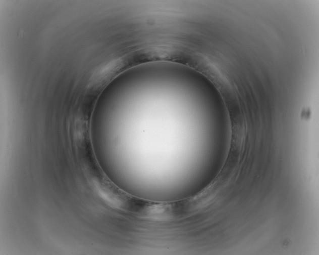 X0000091860126200709051216