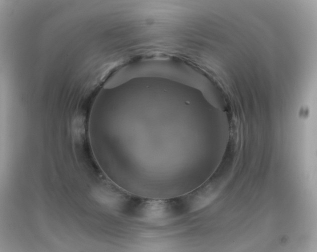 X0000091860127200709051216