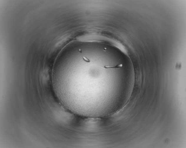 X0000091860128200709051216