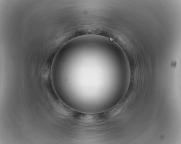 X0000091860129200709051216