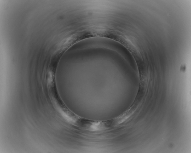 X0000091860130200709051216