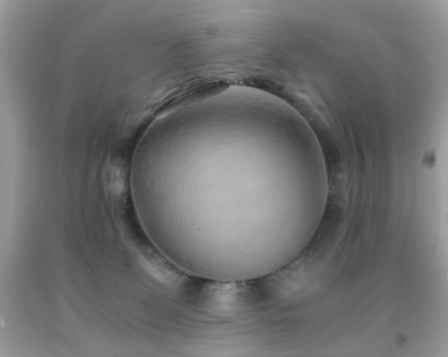 X0000091860131200709051216