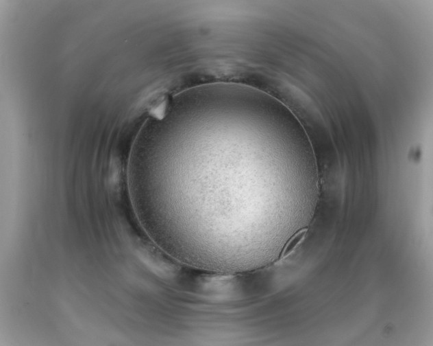 X0000091860132200709051216