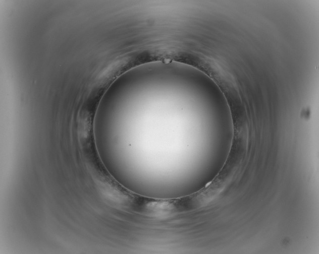 X0000091860133200709051216