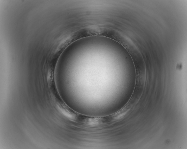 X0000091860134200709051216