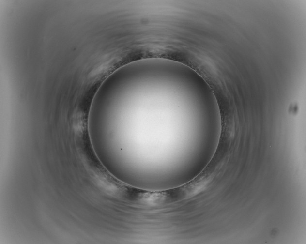 X0000091860135200709051216