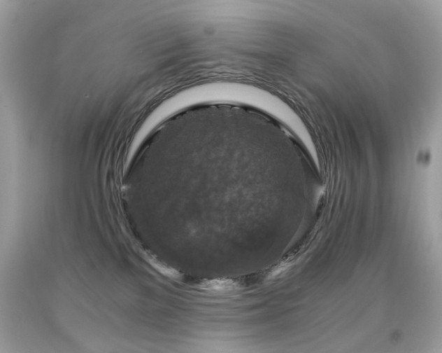 X0000091860137200709051216