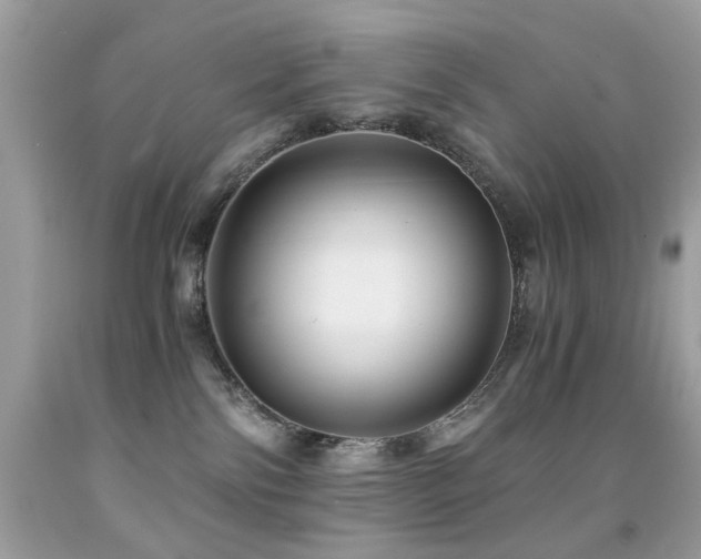 X0000091860138200709051216