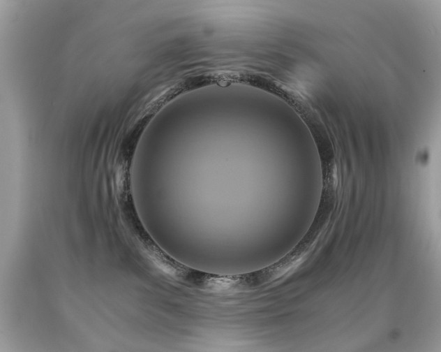 X0000091860139200709051216