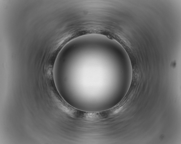 X0000091860141200709051216