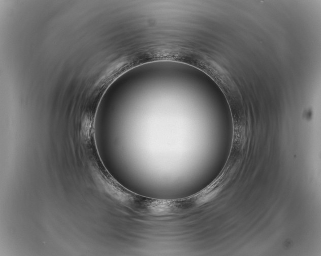 X0000091860142200709051216