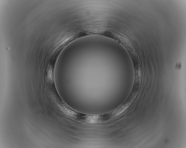 X0000091860143200709051216