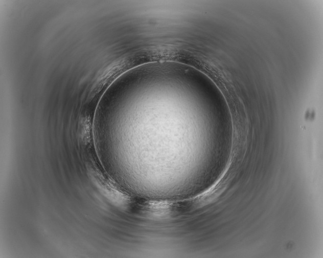 X0000091860144200709051216