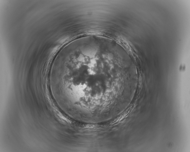 X0000091860145200709051215