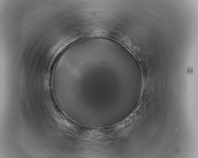 X0000091860146200709051215