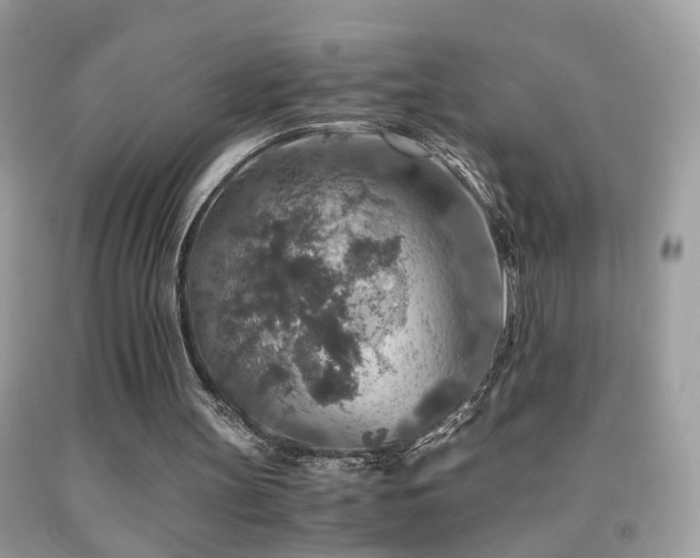 X0000091860147200709051215