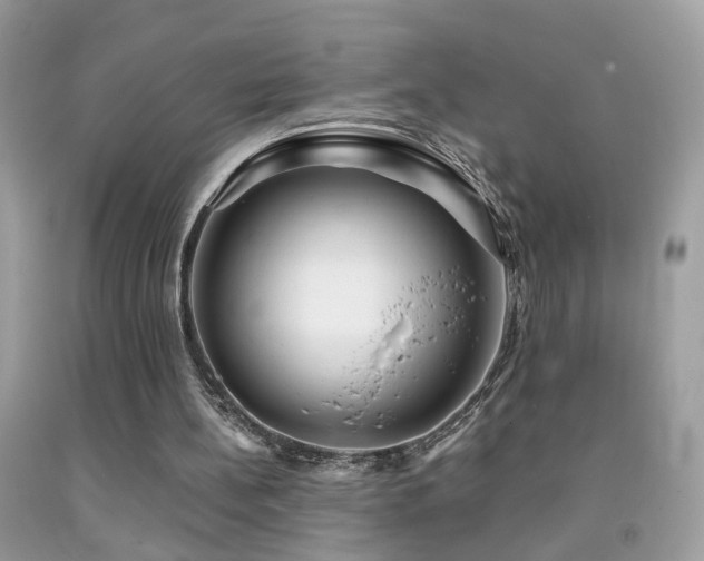 X0000091860148200709051215