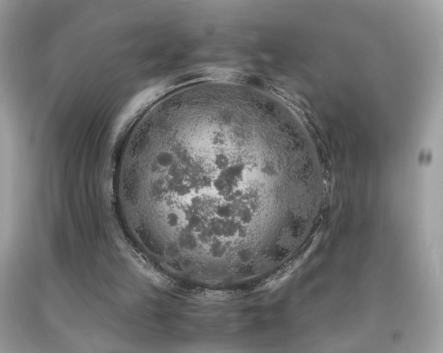 X0000091860149200709051215