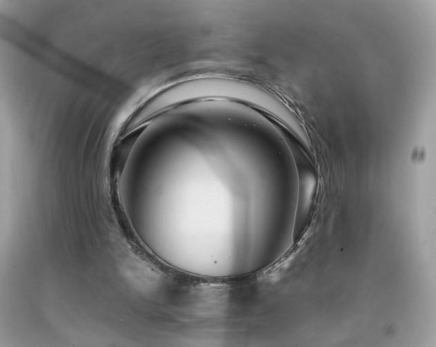 X0000091860150200709051215