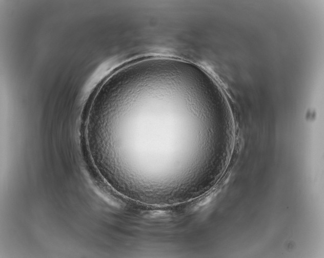 X0000091860151200709051215