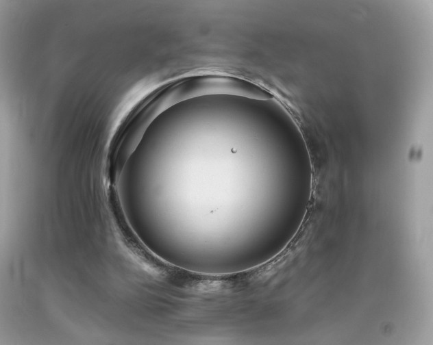 X0000091860152200709051215