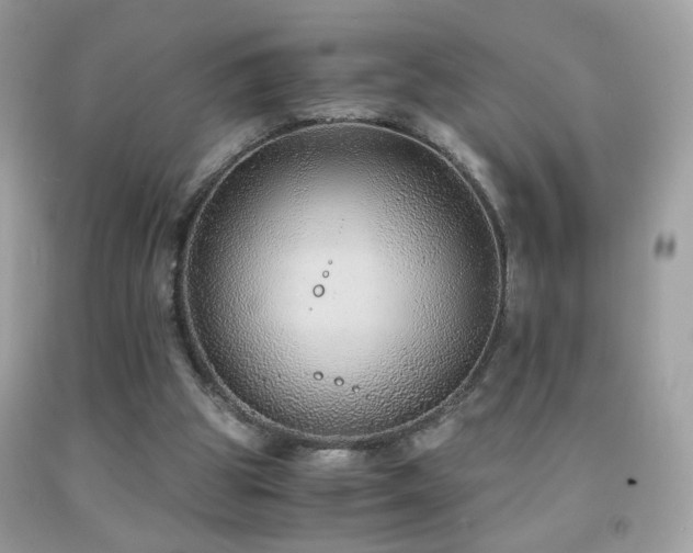 X0000091860153200709051215