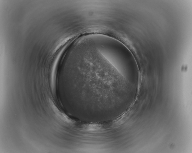 X0000091860154200709051215