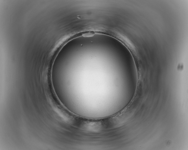 X0000091860155200709051215