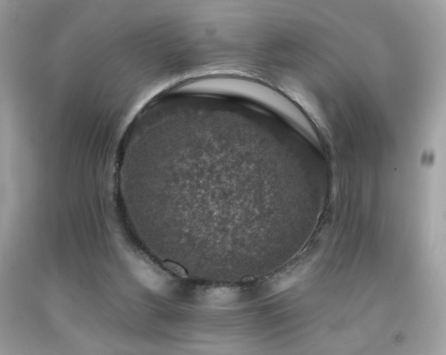 X0000091860156200709051215