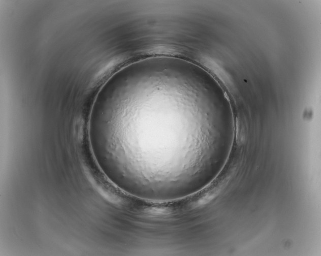 X0000091860157200709051215