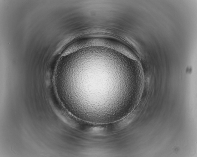 X0000091860158200709051215