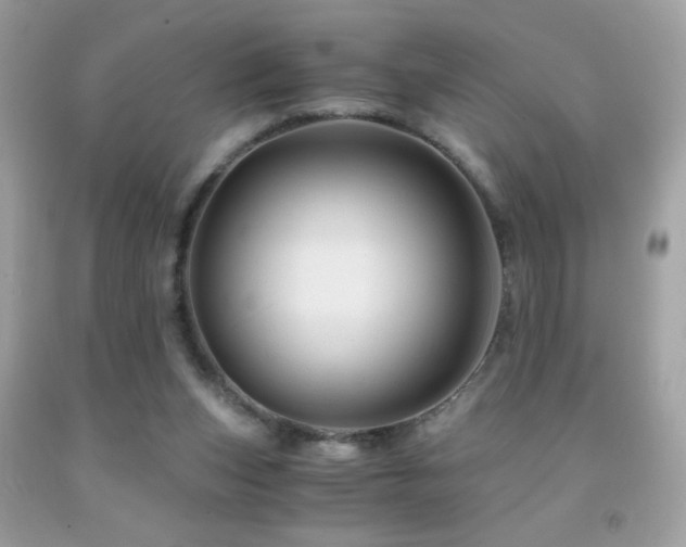 X0000091860159200709051215