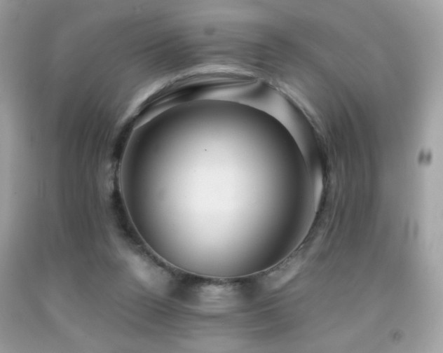 X0000091860160200709051215