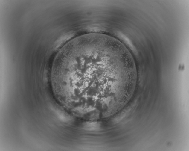 X0000091860161200709051215