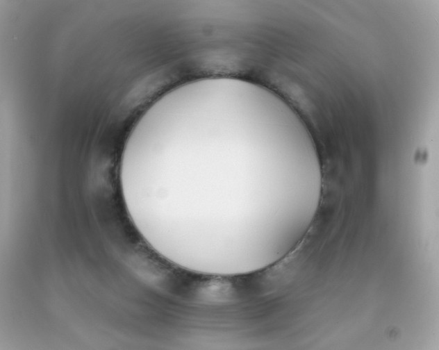 X0000091860162200709051215