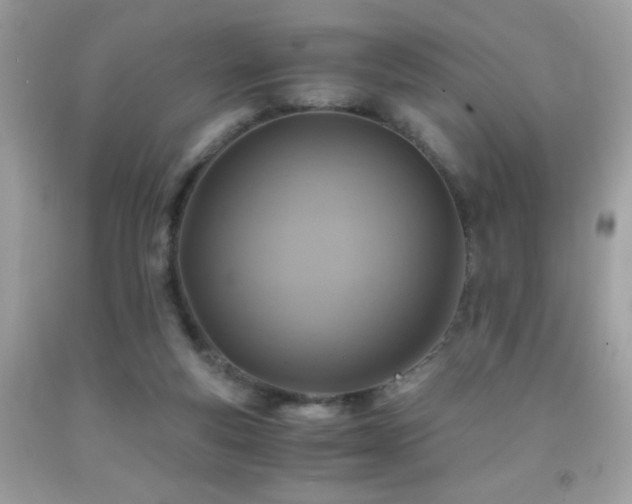 X0000091860163200709051215