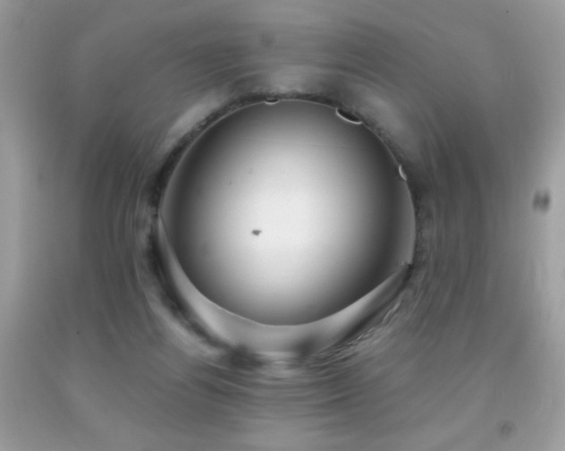 X0000091860164200709051215