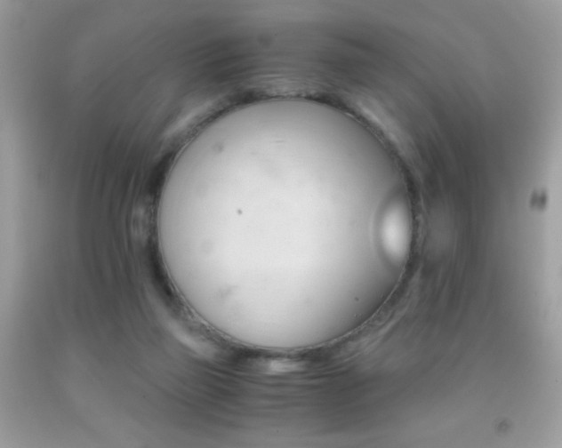 X0000091860165200709051215