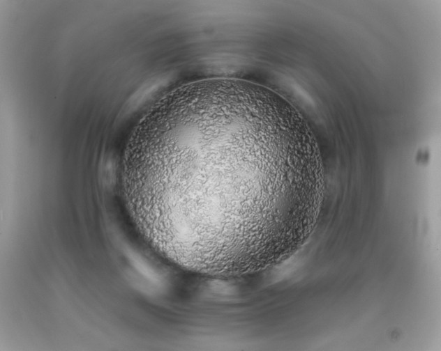 X0000091860166200709051215