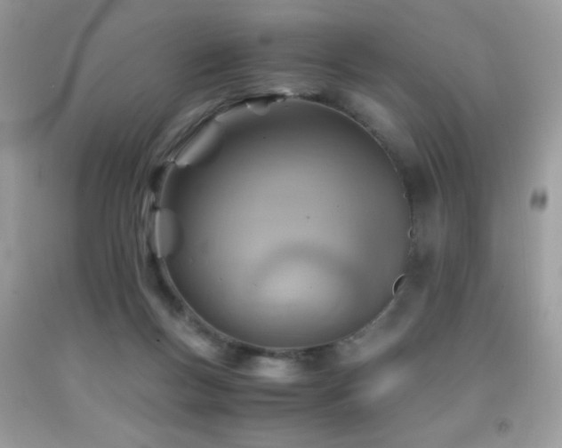 X0000091860167200709051215