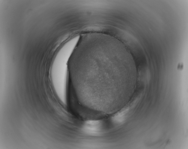 X0000091860168200709051215