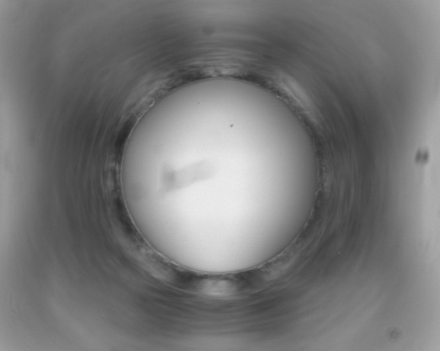 X0000091860169200709051215