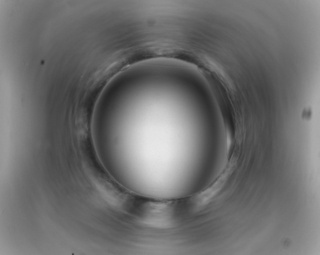 X0000091860170200709051215