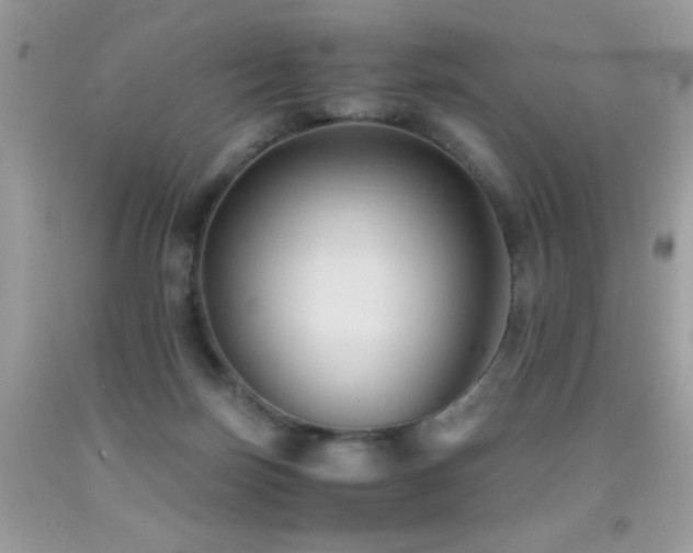 X0000091860171200709051215