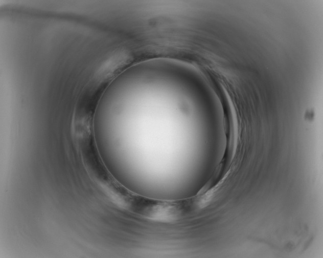 X0000091860172200709051215