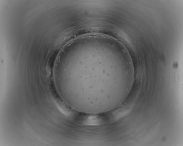 X0000091860173200709051215